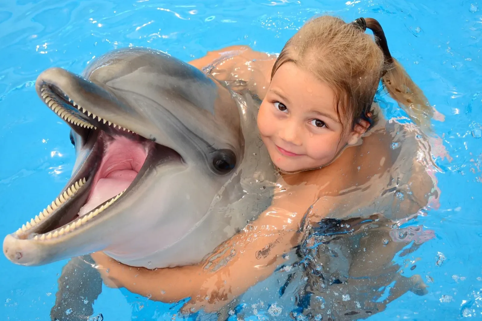 Aksu Dolphinarium ve Yunus Parkı